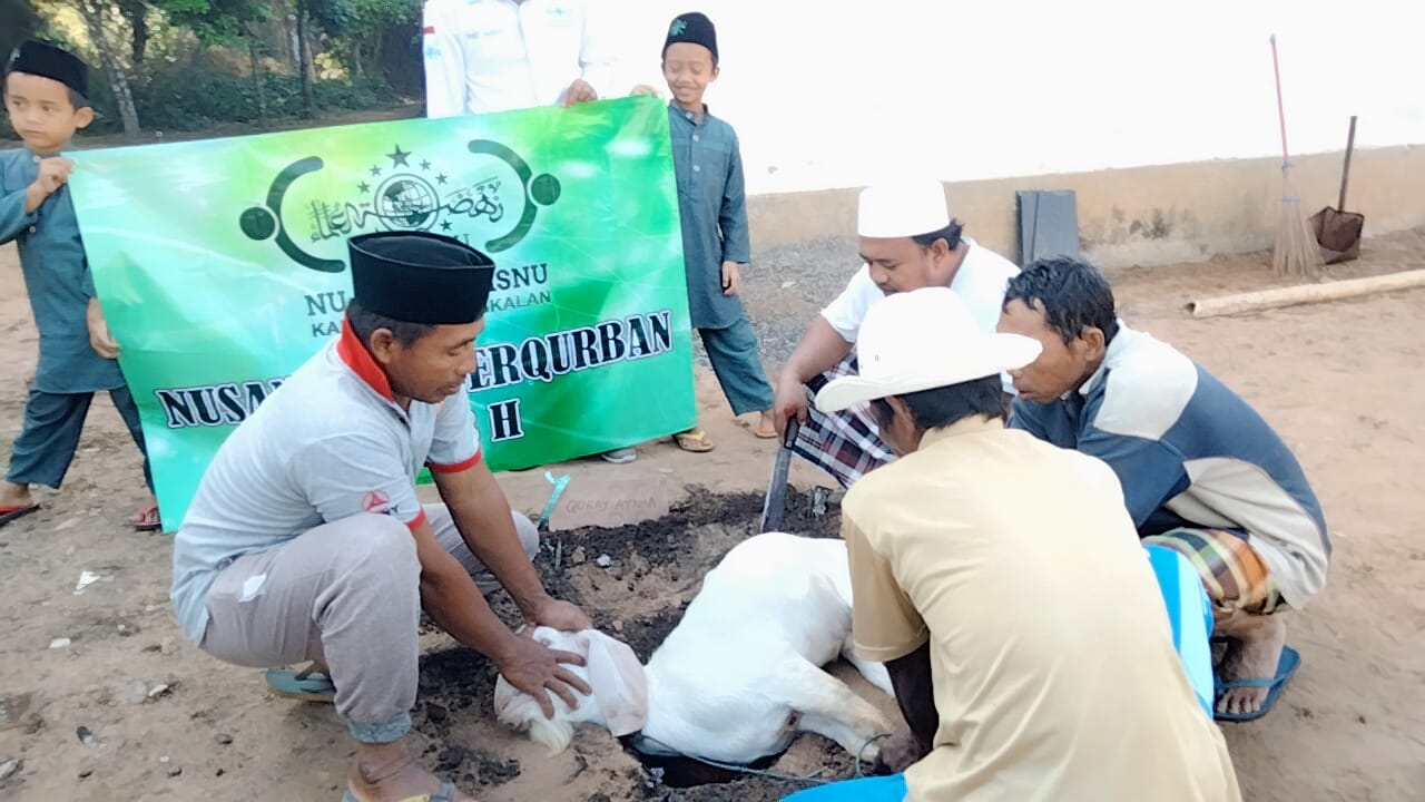 Nusantara Berqurban – Nubangkalan Website Resmi Pcnu Bangkalan